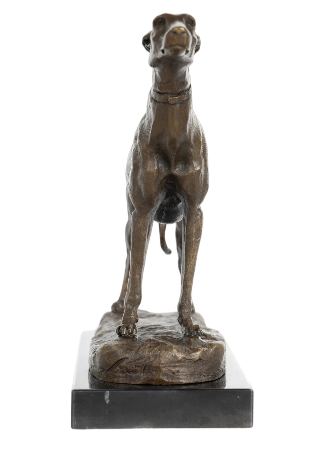 This is an elegant bronze sculpture of a greyhound, crafted using the lost-wax casting method and bearing the signature of a master animalier sculptor. The piece captures the dog in a poised, alert stance, with its head held high and body stretched forward, conveying the breed’s characteristic grace, speed, and athleticism. The rich, warm bronze patina accentuates the dog’s lean, muscular physique, the smooth texture of its short coat, and the delicate details of its collar.